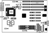 DIAMOND FLOWER, INC. &nbsp; 586STC (REV. DC+)